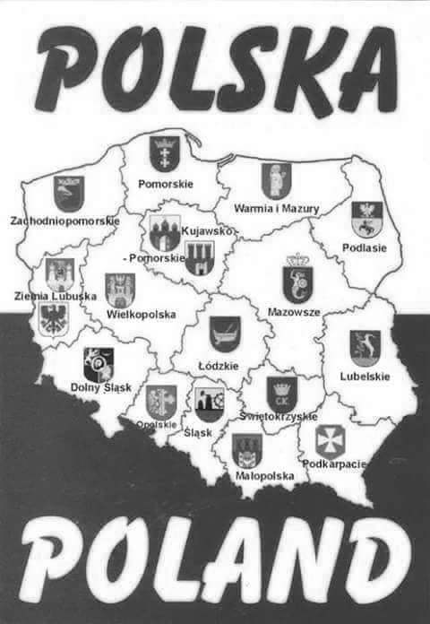 Online coloring book: Coloring page flag and map of Poland with coats of arms